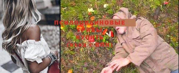 мескалин Алексин