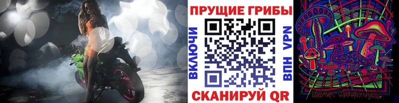 Галлюциногенные грибы Magic Shrooms  Юрьевец 